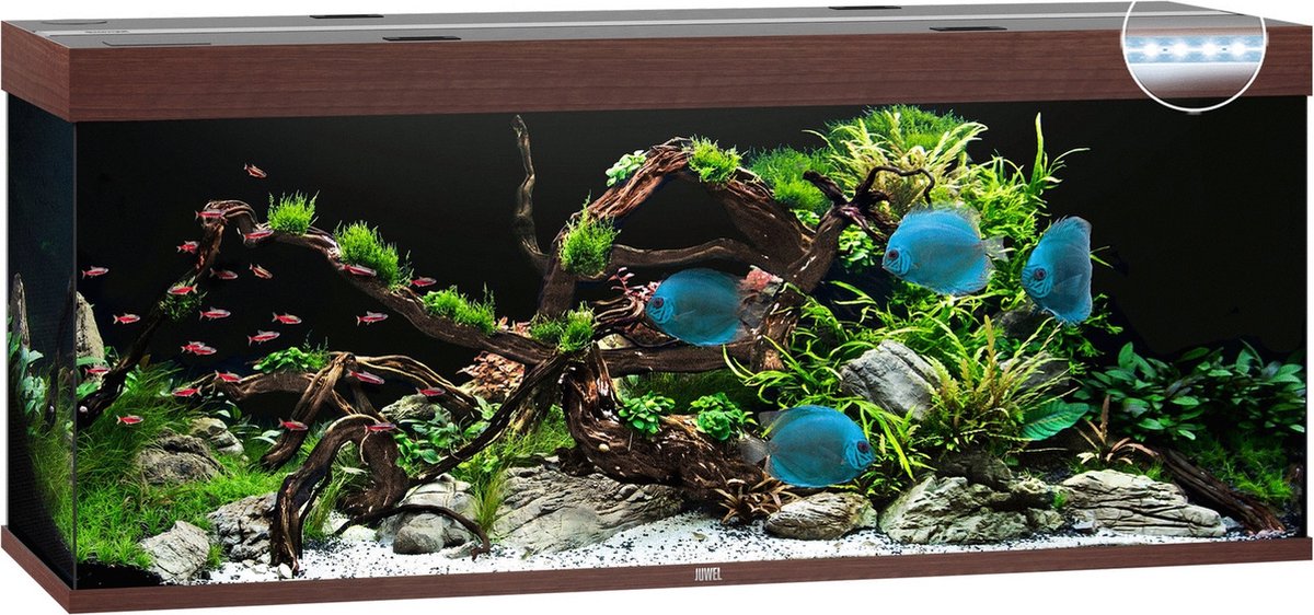 Bol.com Juwel Aquarium Rio 450 Led 151x51x61 cm - Aquaria - Donker Hout aanbieding