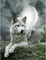 Diamond painting - Wolf liggend met volle maan - Hobbypakket - 40x50 cm - Vierkante steentjes - Volledig te beplakken