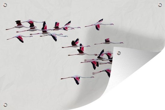 Tuindecoratie Een zwerm flamingo's vliegt door de lucht - 60x40 cm - Tuinposter - Tuindoek - Buitenposter