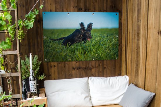 Affiche de jardin Un cocker anglais de couleur noire dans l'herbe verte 120x80 cm - Toile de jardin / Toile d'extérieur / Peintures pour l'extérieur (décoration de jardin)