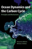 Ocean Dynamics & The Carbon Cycle