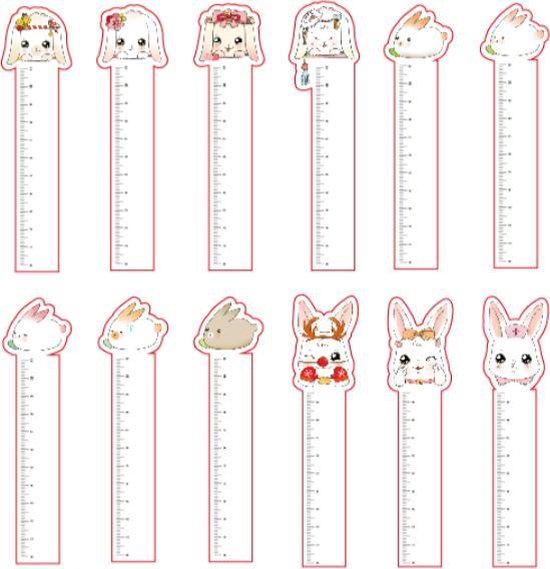 Signets et Règles Lapins | Marque-page | Règle | Signets mignons de lapin mignon | Règle de 11 cm | 30 Signets différents | 30 Règles différentes