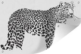 Tuindecoratie Een illustratie van een luipaard - 60x40 cm - Tuinposter - Tuindoek - Buitenposter