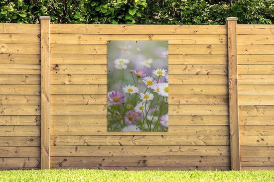 Gros plan de marguerites 80x120 cm