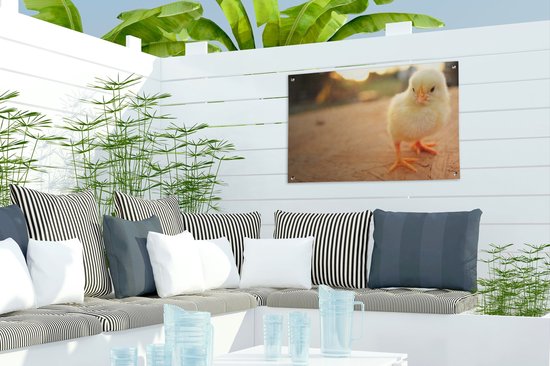 Bébé poussin sur une table en bois Affiche de jardin 60x40 cm - petit - Toile de jardin / Toile d'extérieur / Peintures pour l'extérieur (décoration de jardin)
