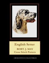 English Setter