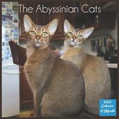 The Abyssinian Cats Calendar 2022