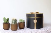 A Planted Gift | Luxe cadeau 3 bloempotten met cactussen | Cadeau voor hem | Cadeau voor man |