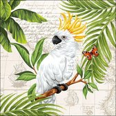 Ambiente - Cockatoo - 20 papieren servetten