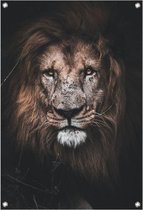 Tuinposter Leeuw - 80x100cm - close-up - tuindoek - met ringen in hoeken- tuindecoratie