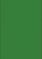 Pergamano 5 vellen A4 90gr code 61995 weide groen