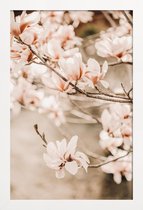 JUNIQE - Poster in houten lijst Magnolias 1 -30x45 /Bruin & Ivoor