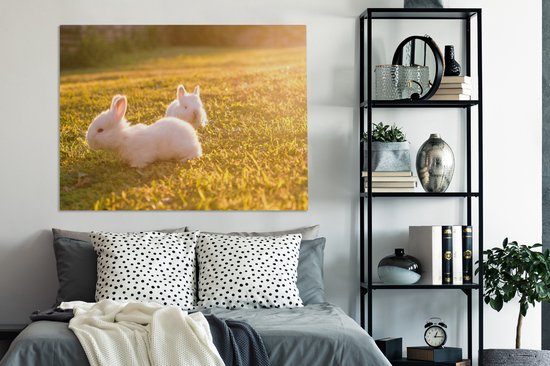 Peintures sur toile - Deux bébés lapins jouant dans l'herbe - 120x90 cm - Décoration murale