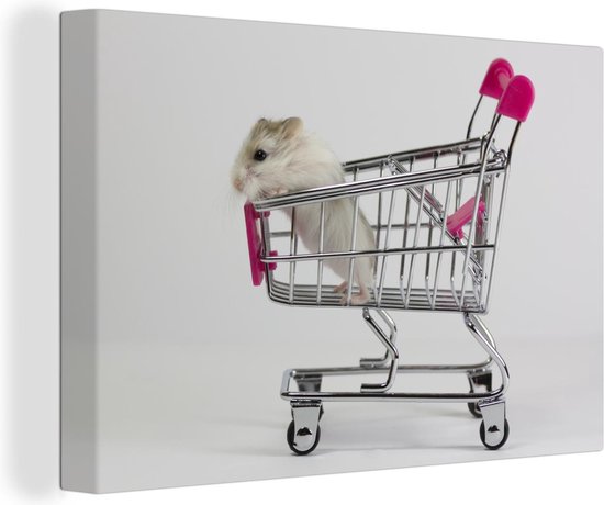 Canvas Schilderij Hamster in een winkelwagen - 60x40 cm - Wanddecoratie