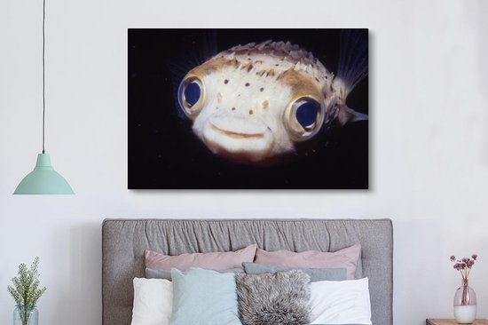 Gros plan poisson-globe 180x120 cm - Tirage photo sur Toile (Décoration murale salon / chambre) / Animaux sauvages Peintures sur toile XXL / Groot format!