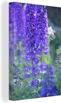 Fleurs de delphinium violet dans un paysage vert Toile 90x140 cm - Tirage photo sur toile (Décoration murale salon / chambre)