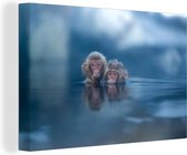 Toile de jeunes macaques japonais 2cm 60x40 cm - Tirage photo sur toile (Décoration murale salon / chambre) / Peintures sur toile animaux sauvages