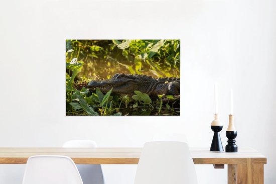 Alligator américain en toile nature 2cm 60x40 cm - Tirage photo sur toile (Décoration murale salon / chambre)