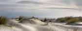 Blonde duinen zonder wolken op Ameland - 160 x 60 cm op aluminium