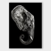 Poster Dark Elephant ² - Plexiglas - Meerdere Afmetingen & Prijzen | Wanddecoratie - Interieur - Art - Wonen - Schilderij - Kunst