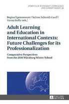 Adult Learning and Education in International Contexts: Future Challenges for Its Professionalization: Comparative Perspectives from the 2016 Wuerzbur