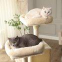 Witte en grijze kat liggen comfortabel op de bovenste plateaus van een beige krabpaal.