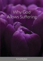 Why God Allows Suffering