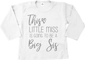 Grote zus shirt-Bekendmaking zwangerschap-this little miss-wit-zilver-Maat 74