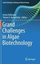 Grand Challenges in Algae Biotechnology