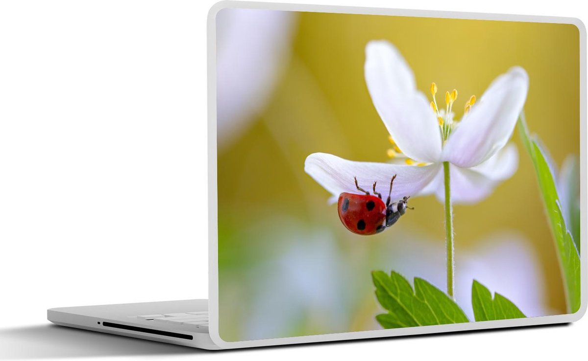 Afbeelding van product SleevesAndCases  Laptop sticker - 10.1 inch - Bloem - Insect - Lente