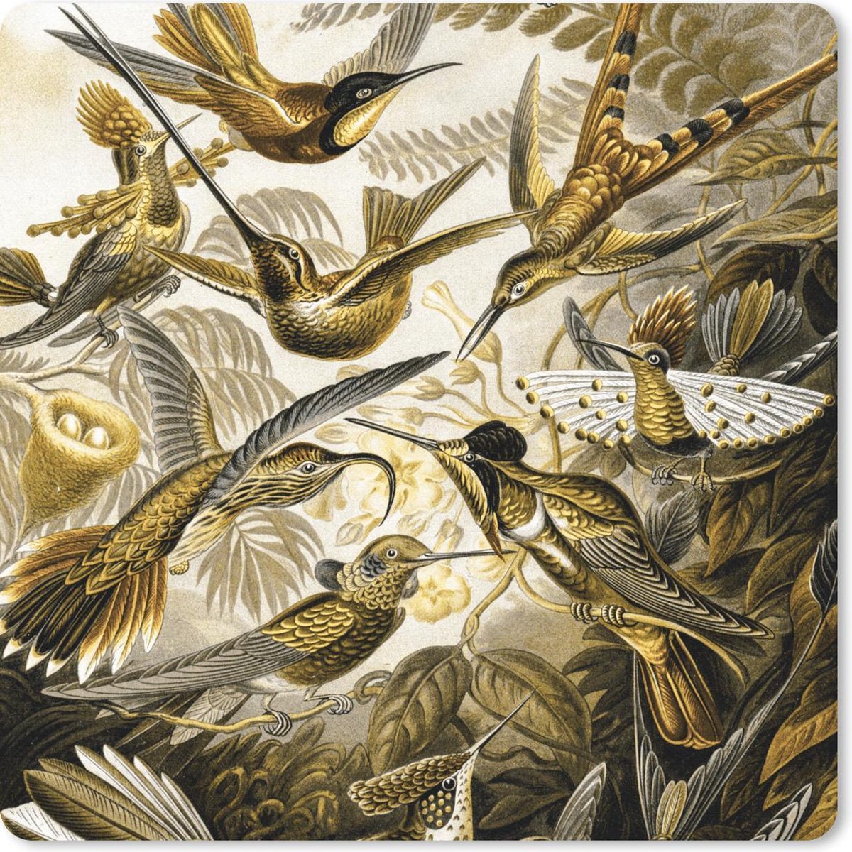 Muismat 30x30 cm - Mousepad Trochilidae - Ernst Haeckel - Goud - Muismatten