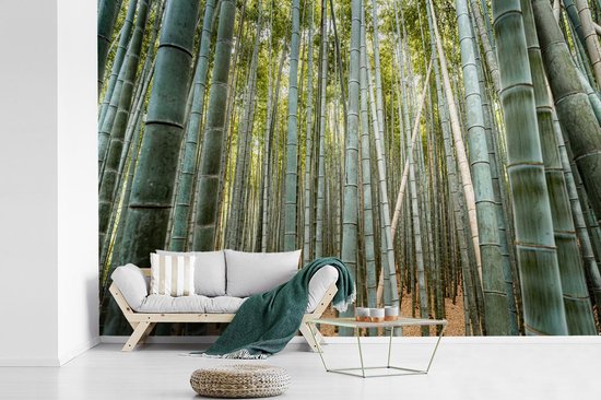 Behang - Fotobehang Bamboe - Natuur - Japan - Breedte 450 cm x hoogte 300  cm | bol.com