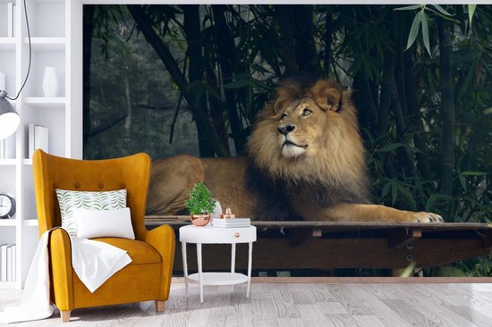 Papier Peint - Papier peint photo Lion - Forêt - Sauvage - Largeur 390 cm x Hauteur 260 cm