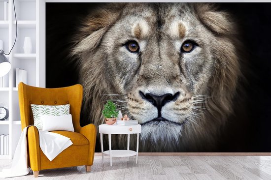 Papier peint - Papier peint photo Lion - Portrait - Sauvage - Largeur 420 cm x hauteur 280 cm