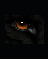 Wolf: Aftermath