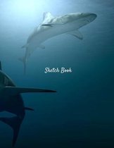 Sketch Book