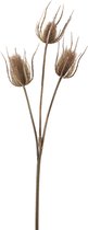 PTMD - Thistle Plant - Kunst takken - Brown