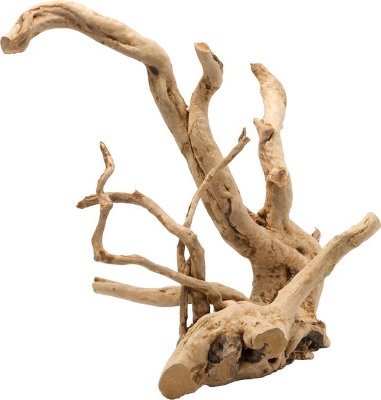 Aquarium hout - Spiderwood gepolijst - 15-28 cm - 1 stk. | bol.com