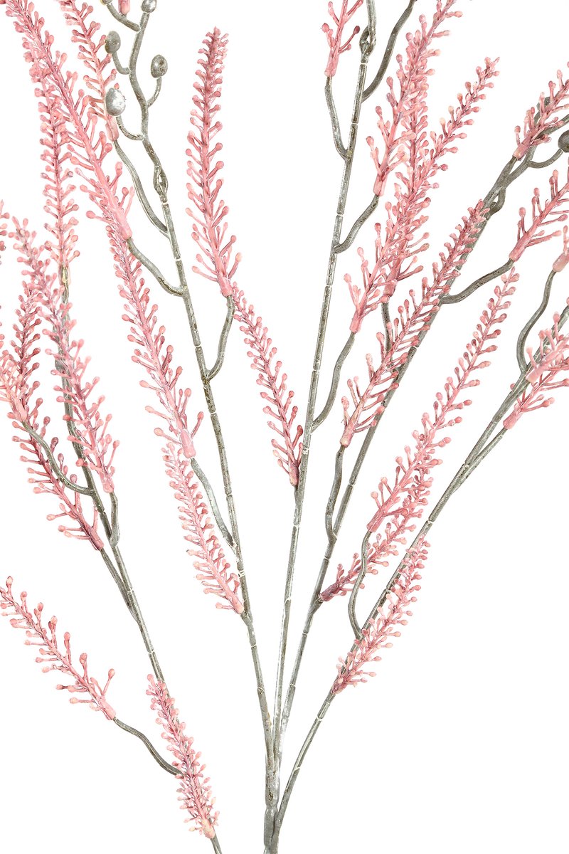 PTMD COLLECTION Leaves Plant roze varen tak