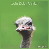 Cute Baby Ostrich 2022 Calendar