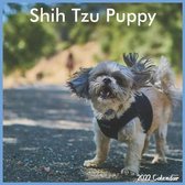 Shih Tzu Puppy Calendar 2022