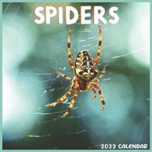 Spiders 2022 Calendar