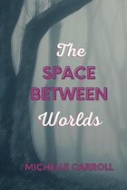 The Space Between Worlds