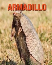 Armadillo