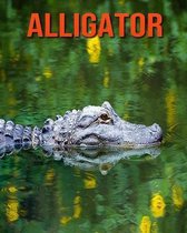Alligator