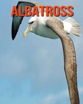 Albatross
