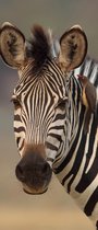 Zebra En Vogel deurposter 92x202 cm