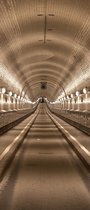 Tunnel 2 deurposter 92x202 cm