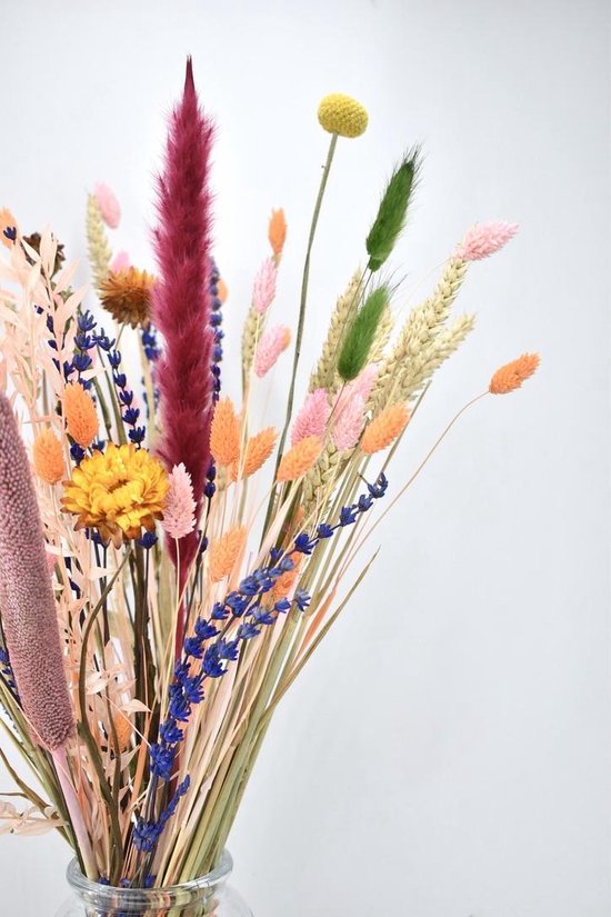 Droogbloemen - boeket 40 cm - Mixed Colors - Natuurlijk Bloemen