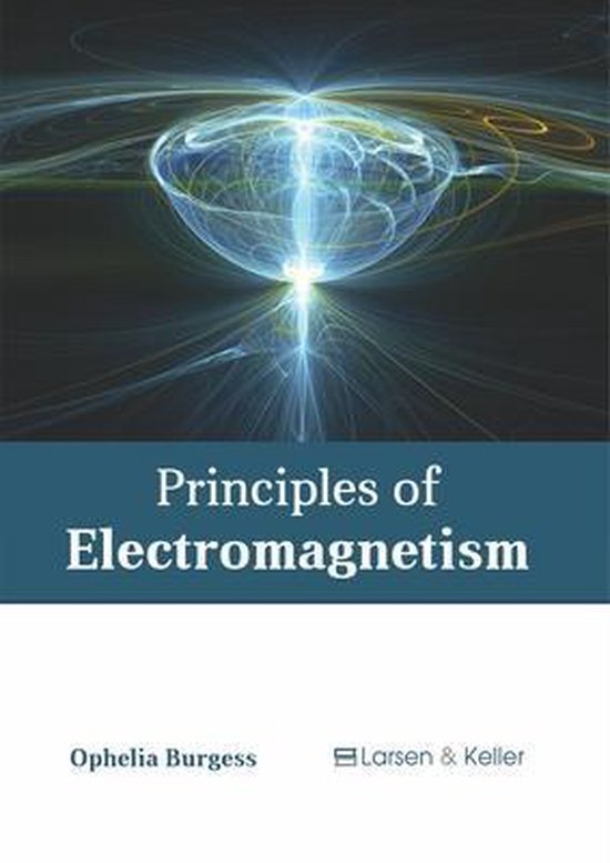 Boek cover Principles of Electromagnetism van  (Hardcover)